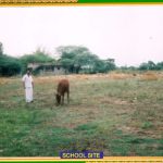 nadi jothidam in tamil