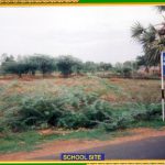 nadi jothidam in tamil